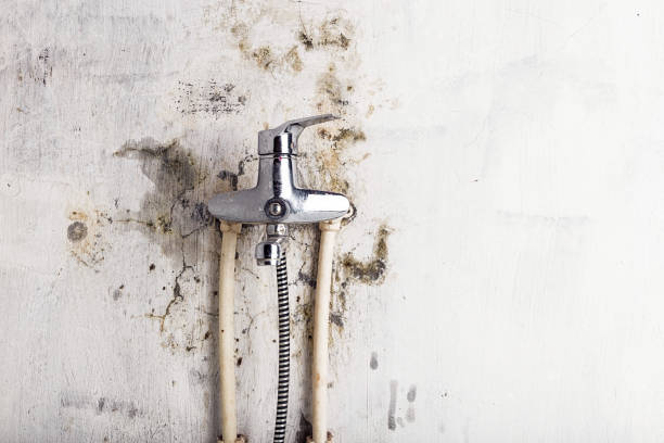 Best Toxic Mold Removal  in Mounds, OK