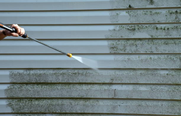 Best Residential Mold Removal  in Mounds, OK