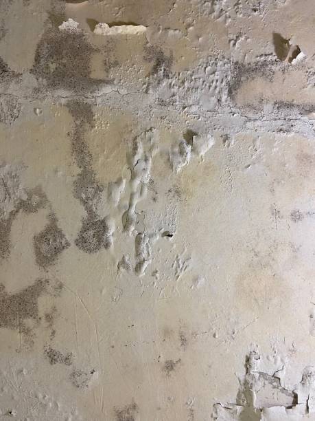 Best Mold Testing  in Mounds, OK